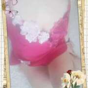 ヒメ日記 2026/03/14 09:07 投稿 きみか 出逢い