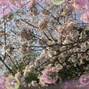 きみか おはよう👋 出逢い