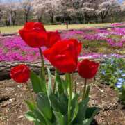 ヒメ日記 2025/04/15 19:57 投稿 えみ 出逢い