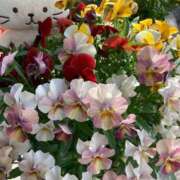 ヒメ日記 2025/04/19 18:47 投稿 えみ 出逢い