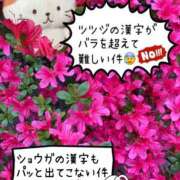 ヒメ日記 2025/04/26 19:17 投稿 えみ 出逢い