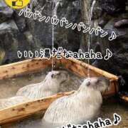 ヒメ日記 2025/05/04 13:17 投稿 えみ 出逢い