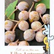 ヒメ日記 2025/10/17 16:27 投稿 えみ 出逢い