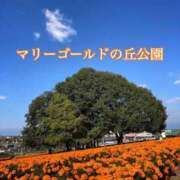 ヒメ日記 2025/10/26 10:07 投稿 えみ 出逢い