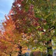 ヒメ日記 2025/11/07 20:37 投稿 えみ 出逢い