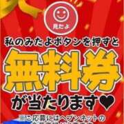 ヒメ日記 2024/03/29 17:02 投稿 みる 京都デリヘル倶楽部