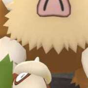 ヒメ日記 2025/02/12 09:27 投稿 ちあき ピンクコレクション大阪