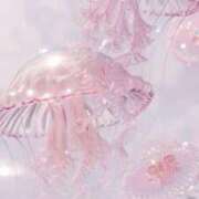 ヒメ日記 2024/12/20 13:25 投稿 ちあき ピンクコレクション大阪キタ店