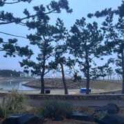 ヒメ日記 2026/02/27 21:09 投稿 ちあき ピンクコレクション大阪キタ店