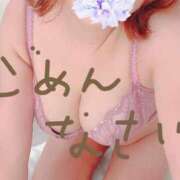 ヒメ日記 2025/03/04 18:54 投稿 一ノ瀬 あおい SUMIRE