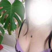 ヒメ日記 2025/08/03 19:47 投稿 ちなつ 沼津人妻花壇