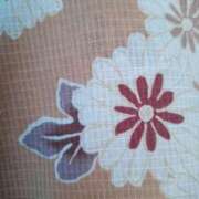 ヒメ日記 2025/07/26 15:15 投稿 新人とうこ☆業界未経験 セレブ パラダイス