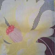 ヒメ日記 2025/08/21 12:09 投稿 新人とうこ☆業界未経験 セレブ パラダイス