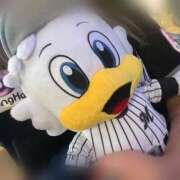 ヒメ日記 2025/09/15 16:46 投稿 れん 奥様特急　上野・鶯谷店