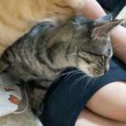 ヒメ日記 2025/05/27 01:56 投稿 のぞみ 奥様特急　上野・鶯谷店