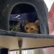 ヒメ日記 2026/04/05 18:43 投稿 のぞみ 奥様特急　上野・鶯谷店