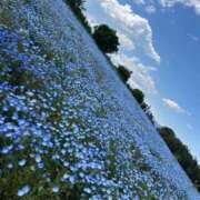 ヒメ日記 2025/05/31 15:55 投稿 いお 奥様特急　上野・鶯谷店