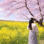 ヒメ日記 2026/03/29 15:22 投稿 いお 奥様特急　上野・鶯谷店