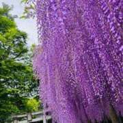 ヒメ日記 2026/05/04 00:42 投稿 いお 奥様特急　上野・鶯谷店