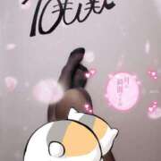 ヒメ日記 2024/12/29 22:14 投稿 とわ 奥様特急　上野・鶯谷店