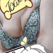 ヒメ日記 2025/04/26 16:34 投稿 とわ 奥様特急　上野・鶯谷店