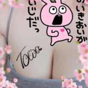 ヒメ日記 2025/12/28 14:12 投稿 とわ 奥様特急　上野・鶯谷店