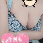 ヒメ日記 2025/12/30 14:22 投稿 とわ 奥様特急　上野・鶯谷店