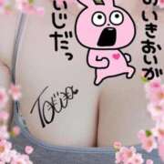 ヒメ日記 2026/01/03 20:06 投稿 とわ 奥様特急　上野・鶯谷店