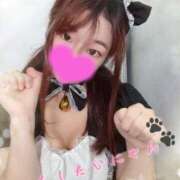 ヒメ日記 2026/02/14 00:52 投稿 りんたん 奥様特急　上野・鶯谷店