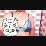 ヒメ日記 2025/10/24 13:35 投稿 すみれ 奥様特急　上野・鶯谷店