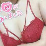 ヒメ日記 2025/11/04 10:15 投稿 すみれ 奥様特急　上野・鶯谷店