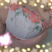 ヒメ日記 2025/01/29 16:54 投稿 なみ 奥様特急　上野・鶯谷店