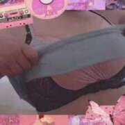 ヒメ日記 2025/04/02 16:54 投稿 なみ 奥様特急　上野・鶯谷店