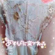 ヒメ日記 2025/04/20 10:14 投稿 なみ 奥様特急　上野・鶯谷店