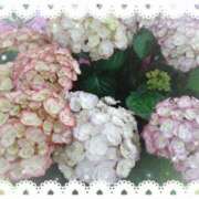 ヒメ日記 2025/05/29 20:55 投稿 なみ 奥様特急　上野・鶯谷店