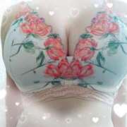 ヒメ日記 2025/08/15 22:25 投稿 なみ 奥様特急　上野・鶯谷店