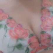 ヒメ日記 2025/10/31 19:15 投稿 なみ 奥様特急　上野・鶯谷店