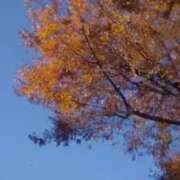 ヒメ日記 2025/11/28 13:12 投稿 なみ 奥様特急　上野・鶯谷店