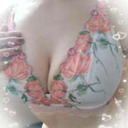 ヒメ日記 2025/12/14 08:52 投稿 なみ 奥様特急　上野・鶯谷店