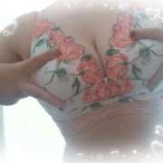 ヒメ日記 2026/01/17 12:52 投稿 なみ 奥様特急　上野・鶯谷店