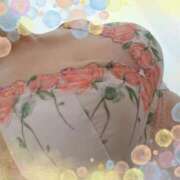 ヒメ日記 2026/03/30 08:42 投稿 なみ 奥様特急　上野・鶯谷店