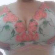 ヒメ日記 2026/03/30 14:02 投稿 なみ 奥様特急　上野・鶯谷店