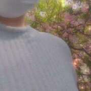 ヒメ日記 2026/03/30 16:02 投稿 なみ 奥様特急　上野・鶯谷店