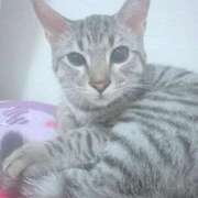 ヒメ日記 2025/10/13 22:35 投稿 ゆりな 奥様特急　上野・鶯谷店