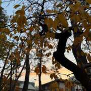 ヒメ日記 2024/12/08 15:43 投稿 バニスター 鶯谷デッドボール