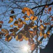 ヒメ日記 2024/12/14 20:23 投稿 バニスター 鶯谷デッドボール