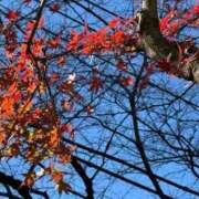 ヒメ日記 2024/12/15 14:49 投稿 バニスター 鶯谷デッドボール