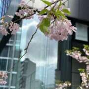 ヒメ日記 2025/04/16 18:59 投稿 バニスター 鶯谷デッドボール