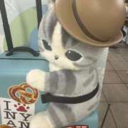 ヒメ日記 2025/08/04 20:39 投稿 バニスター 鶯谷デッドボール