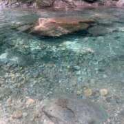 ヒメ日記 2025/08/19 14:53 投稿 バニスター 鶯谷デッドボール